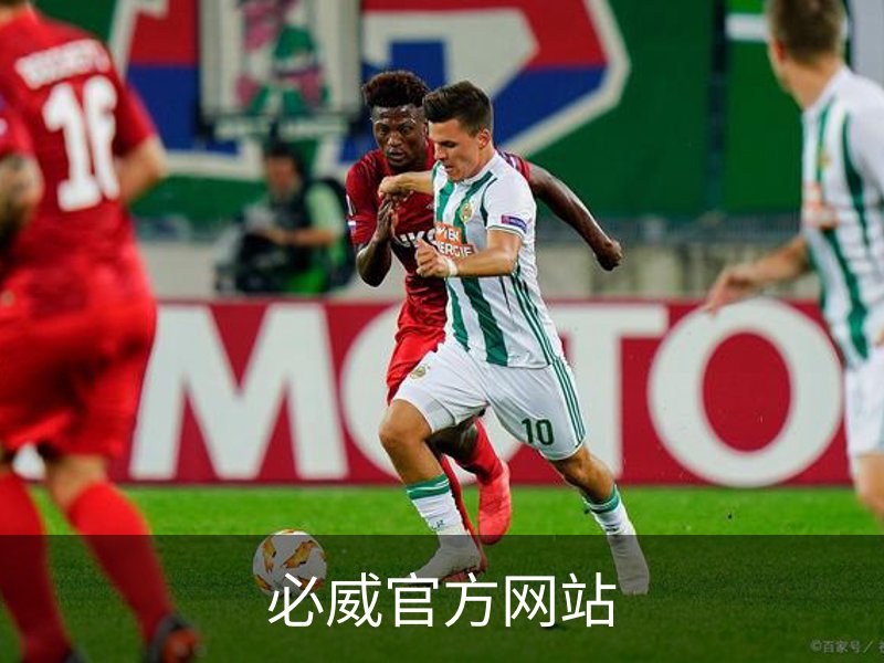 必威官方网站介绍